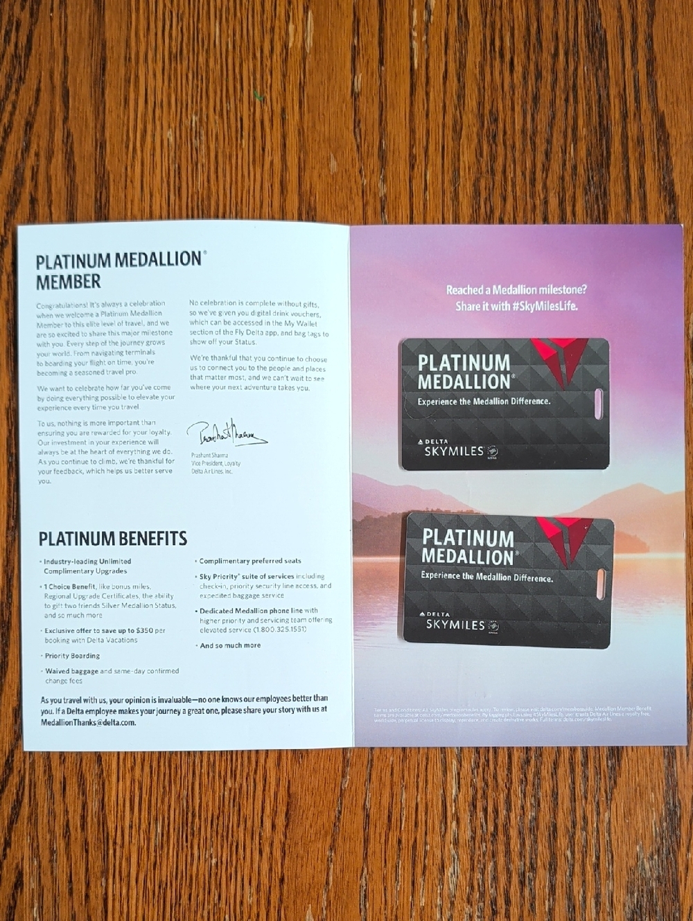 Delta Airlines -- 2 Platinum Medallion Bag Tags
